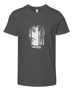 The Cure A Forest Essential