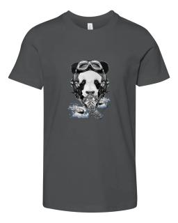 Panda Pilot World War Ii