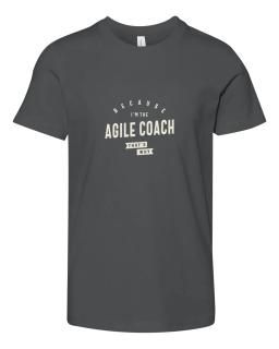 Agile Coach Job Occupation
