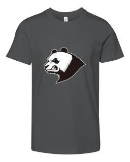 Darth Panda 101 Logo