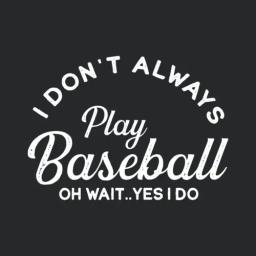I Dont Always Play Baseball