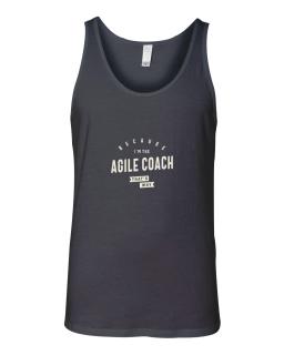 Agile Coach Job Occupation