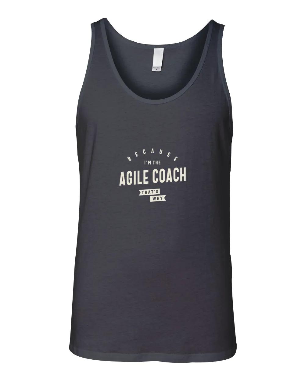 Agile Coach Job Occupation
