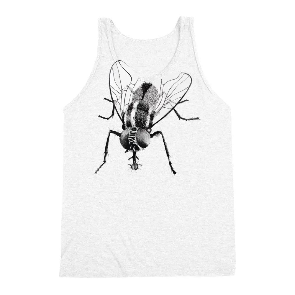 Black Fly Insect