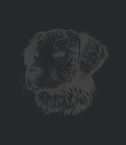 A Mans Best Friend