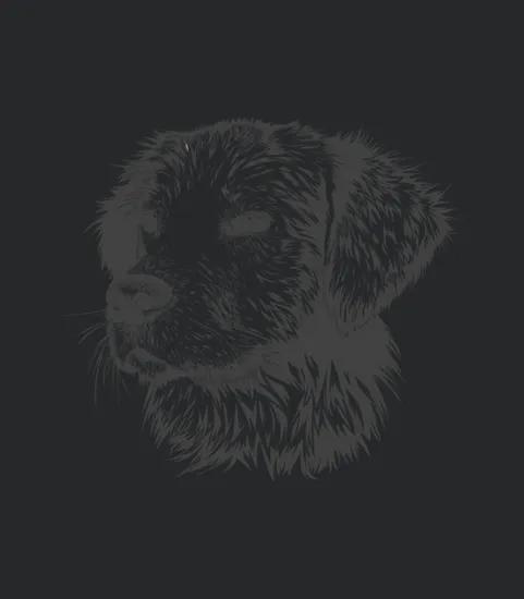 A Mans Best Friend