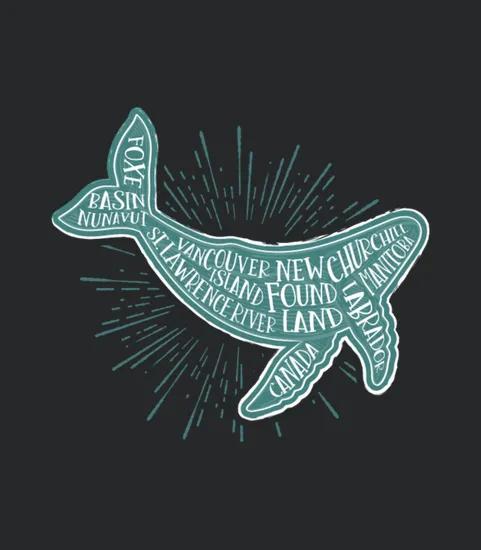 Canada Whale Watching Spots