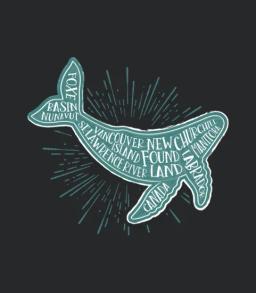 Canada Whale Watching Spots