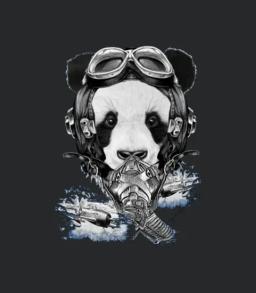 Panda Pilot World War Ii