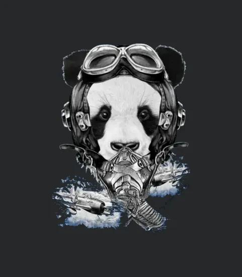 Panda Pilot World War Ii