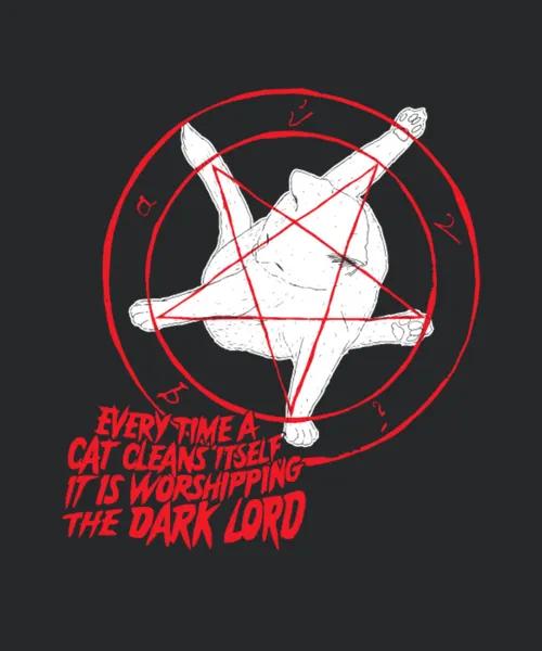 Every Time A Cat Cleans Itself