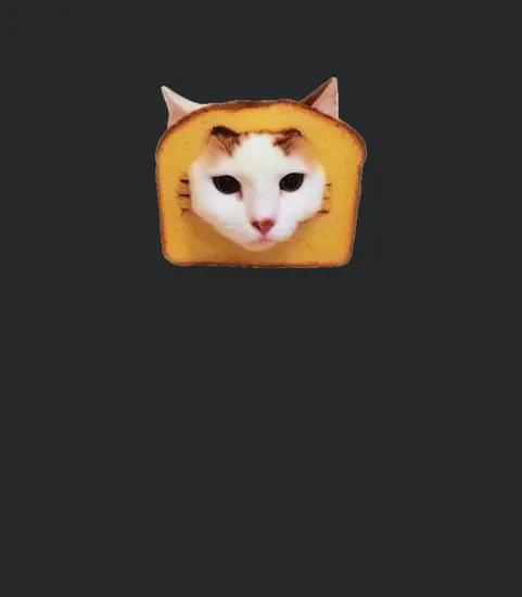 William Osman Merch