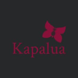 Kapalua Hawaii Vacation Souvenir