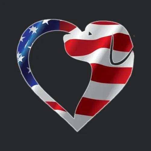 American Dog