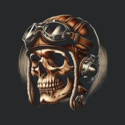 Retro Flight Skull