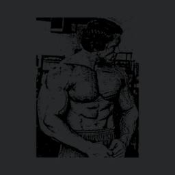 Arnold Schwarzenegger Bodybuilding