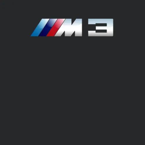 M3