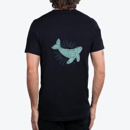 Canada Whale Watching Spots