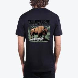 Yellowstone Adventure Awaits