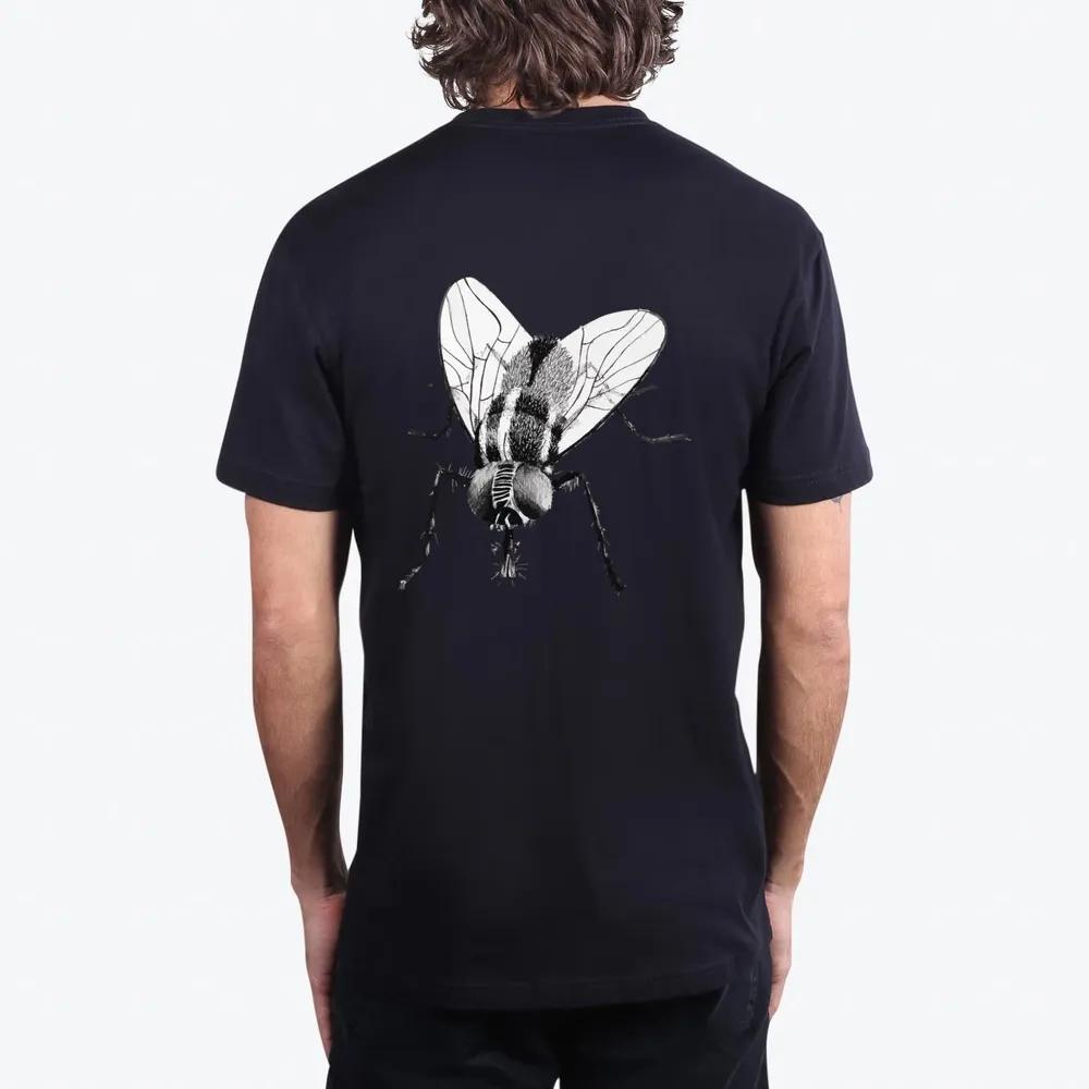 Black Fly Insect