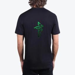 Enlightened Ingress