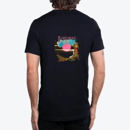 Hawkwind Yl