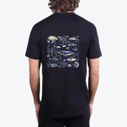Vintage Sea Animals
