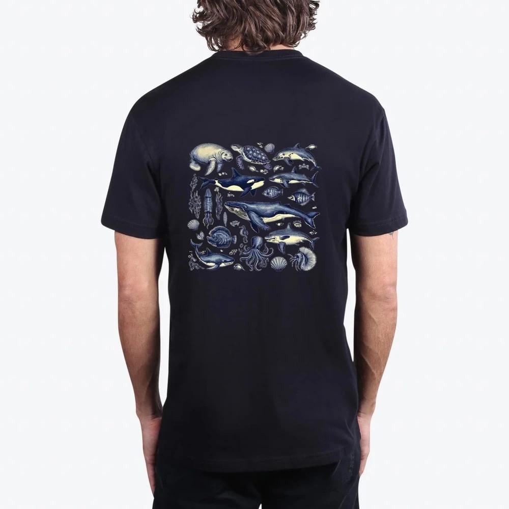 Vintage Sea Animals