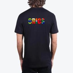 Brics Logo