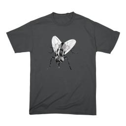 Black Fly Insect