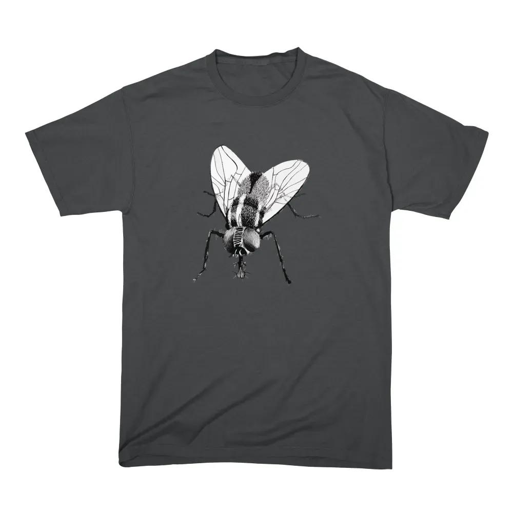 Black Fly Insect
