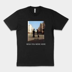 Pink Floyd Wish You Were Here