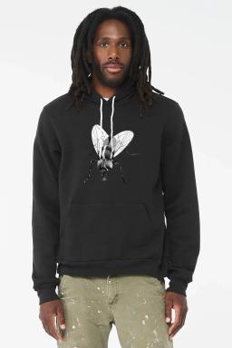 Black Fly Insect