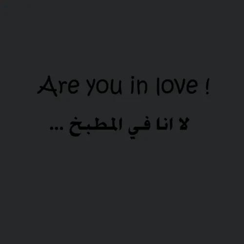 Arabic Quotes Funny