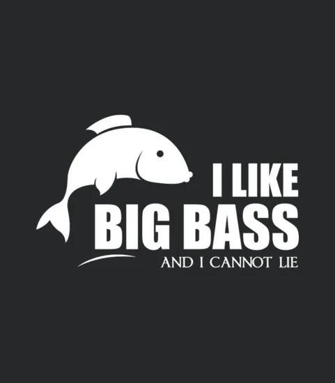 Big Bass Best Fishing Design