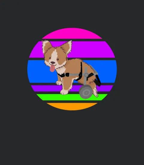 Dog With Wheelchair Sunset