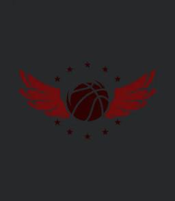 Basketball Logo With Wings