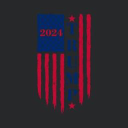 2024 Us Elections