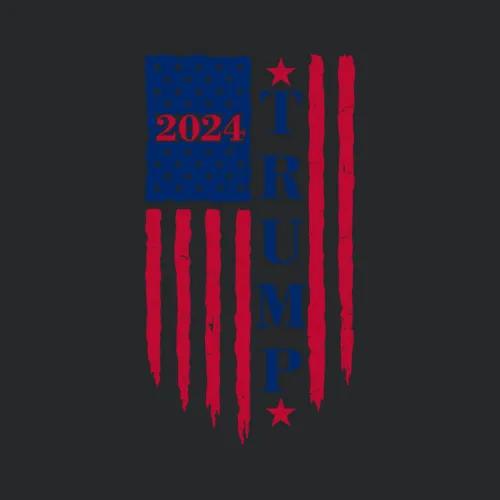 2024 Us Elections