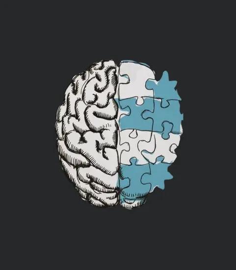 Brain Anatomy Brain Puzzle