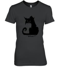 Angry Black Cat What