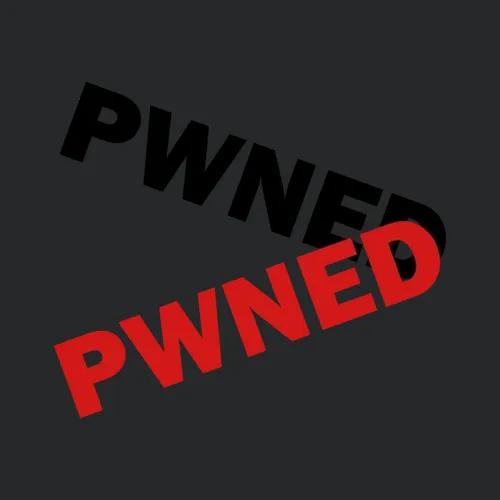 Pwned Gaming Gamer