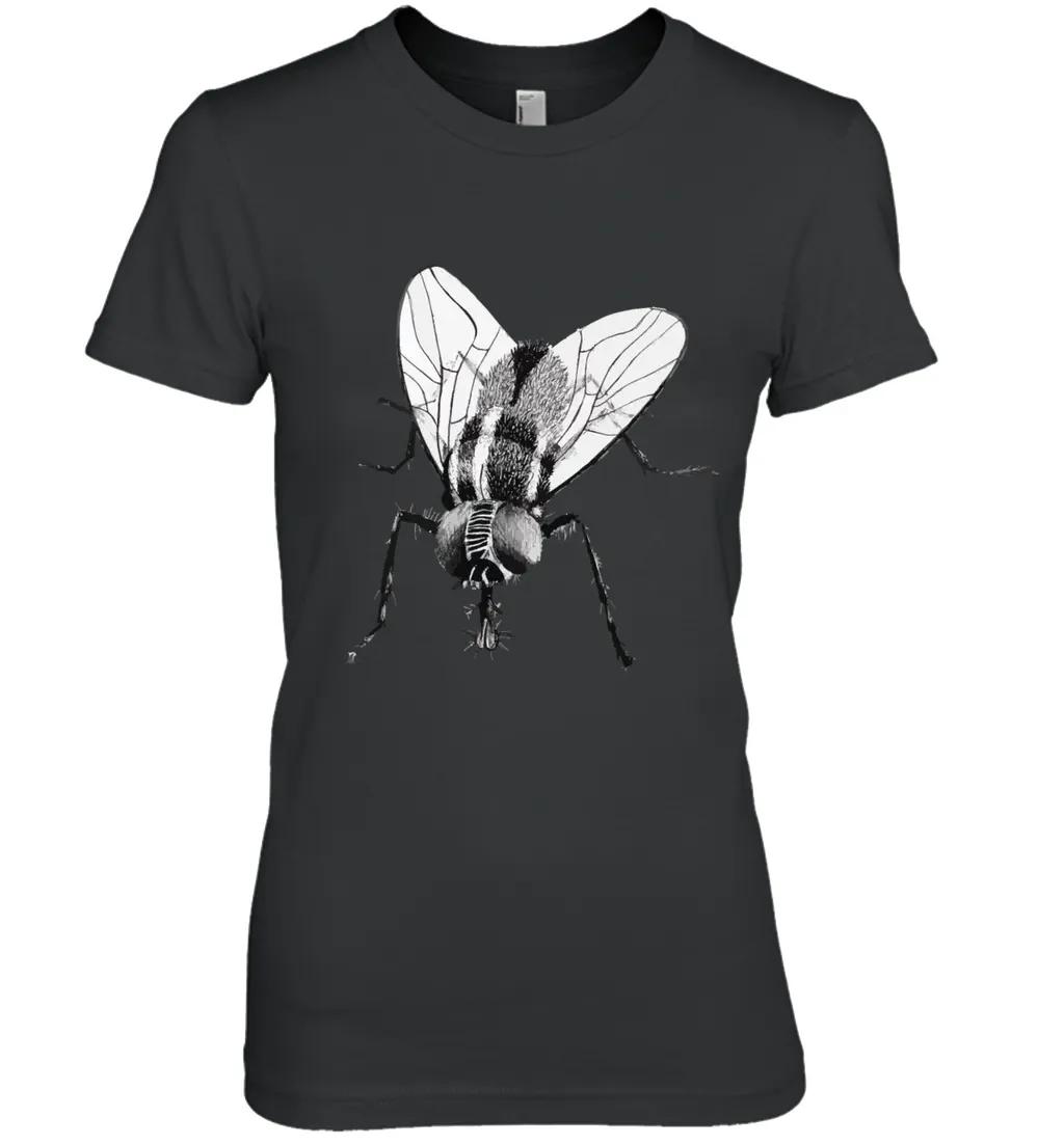 Black Fly Insect