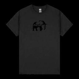 Wild Africa