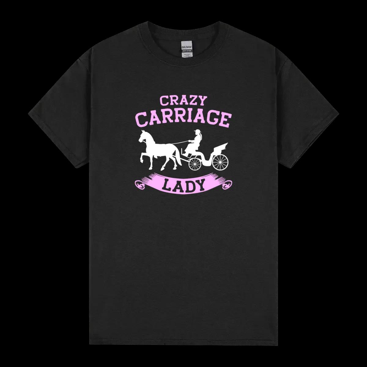 Horse Carriage Lady Coachman