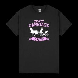 Horse Carriage Lady Coachman