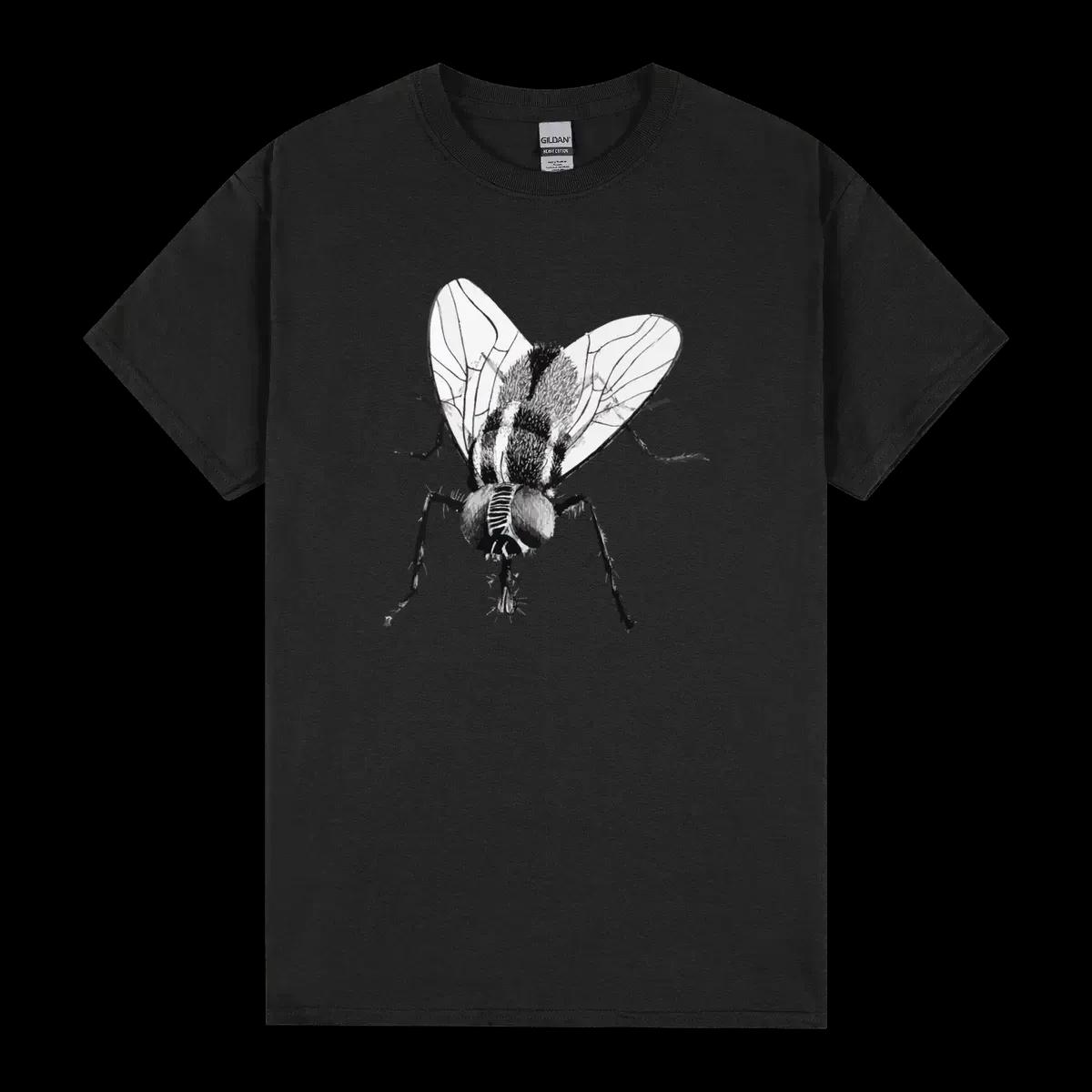 Black Fly Insect