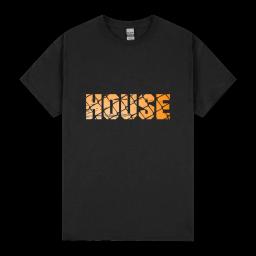 House Music Design