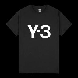 Y 3