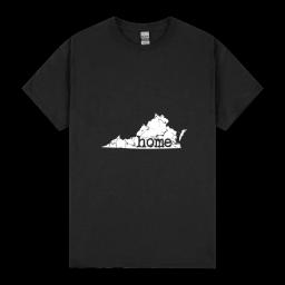 Distressed Virginia Home Virginia